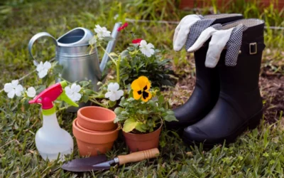 Dites adieu aux mauvaises herbes grâce à ce désherbant naturel puissant !Dites adieu aux mauvaises herbes grâce à ce désherbant naturel puissant !