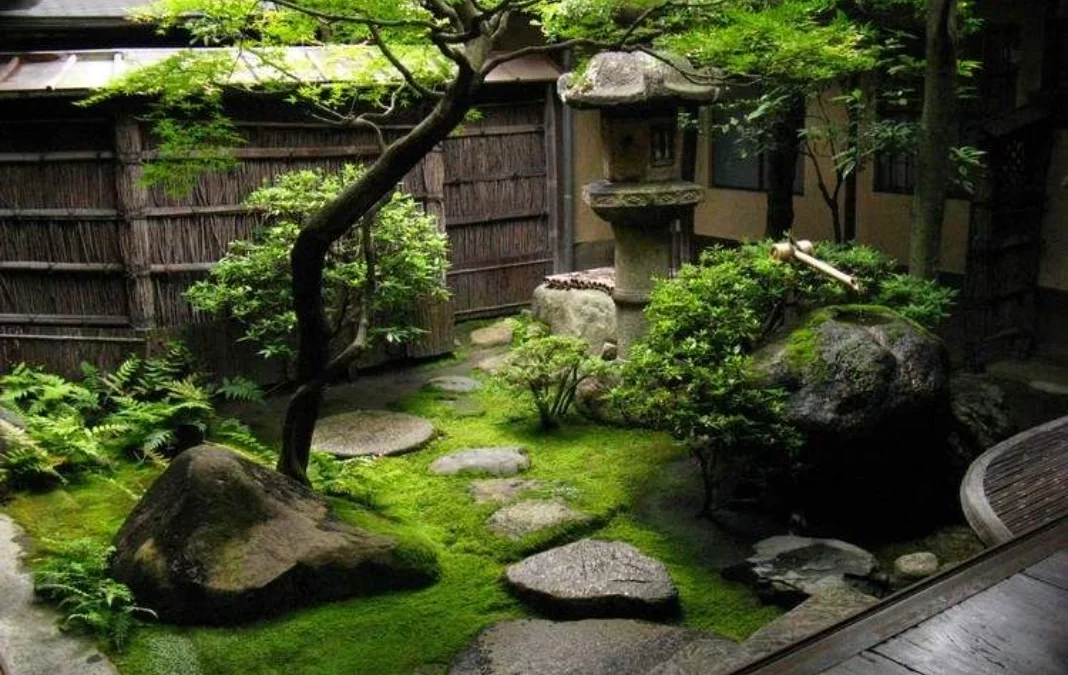 Un jardin japonais, cela vous tente ? On vous dit tout !