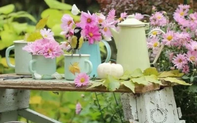 9 fleurs de printemps et d’été à planter chez soi pour un jardin éclatant