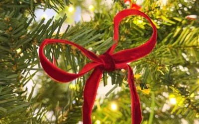 Comment les nœuds sont devenus LA tendance déco de Noël 2025 ?