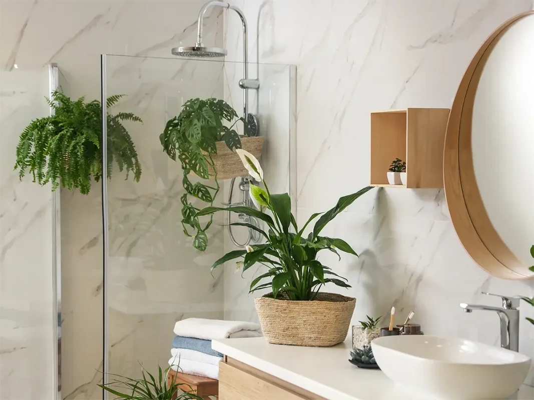 Altereco Design Jade-Cantwell