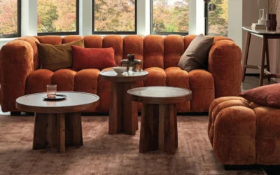 Les plus belles inspirations de salons modernes