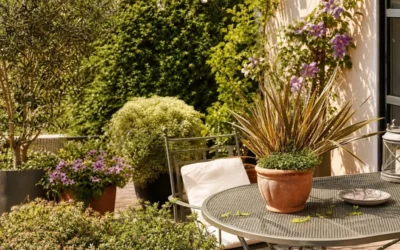 5 plantes hautes pour remplacer un brise-vue naturellement