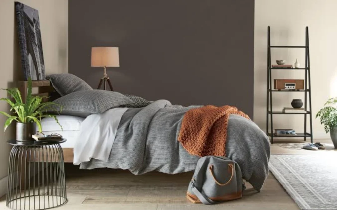 Le mur d&rsquo;accent : lequel choisir de peindre dans une petite pièce ?
