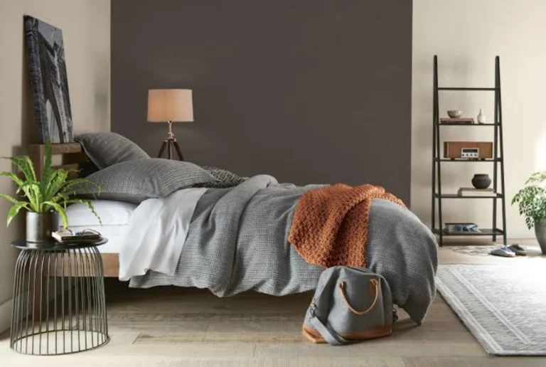 Le mur d&rsquo;accent : lequel choisir de peindre dans une petite pièce ?